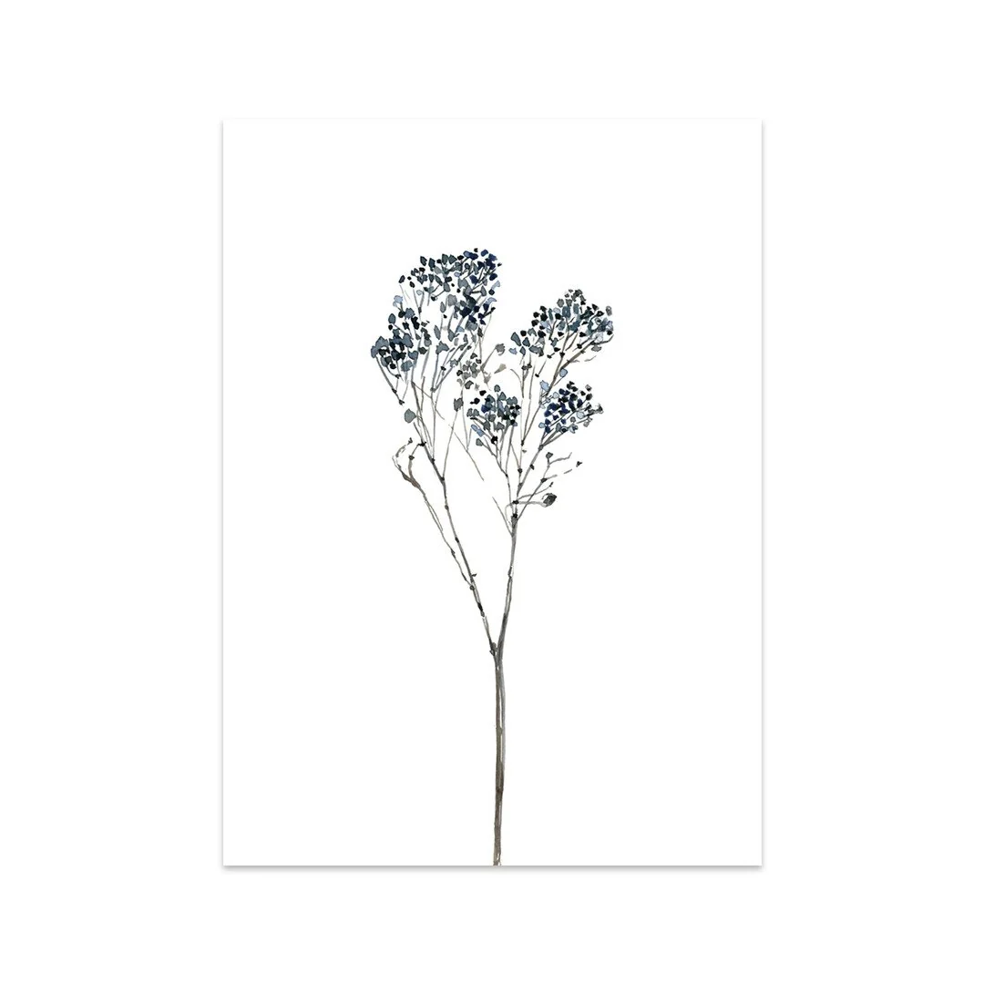 Caroline Vieira - Broom Bloom