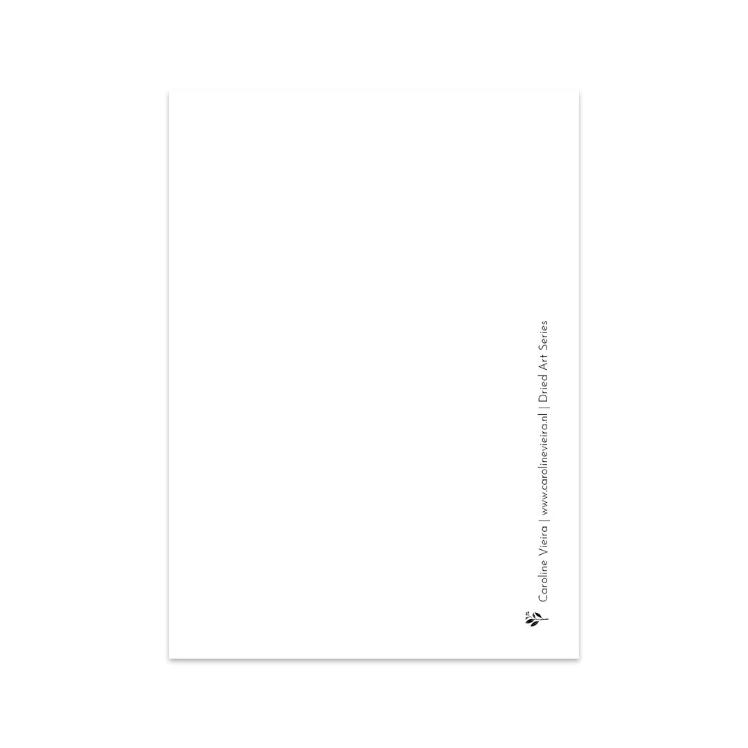 Caroline Vieira - Broom Bloom - Afbeelding 3